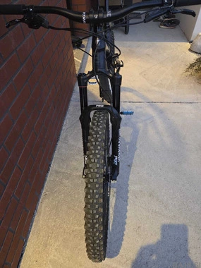 Trek Remedy 8