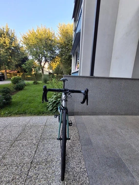 Bottecchia revolution