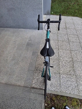 Bottecchia revolution