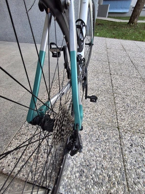 Bottecchia revolution