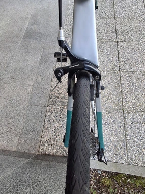Bottecchia revolution