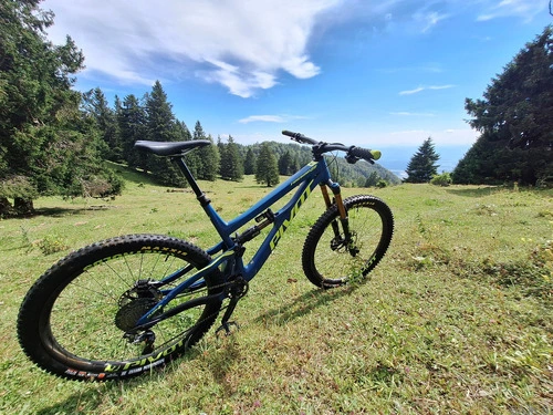 PIVOT FIREBIRD 29 XL