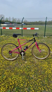 Bianchi meta vintage