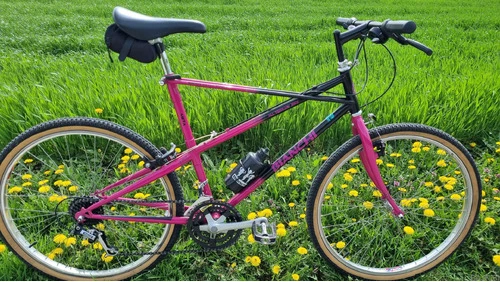 Bianchi meta vintage