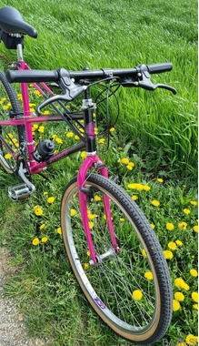 Bianchi meta vintage