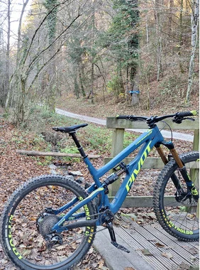 PIVOT FIREBIRD 29 XL