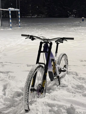 Propain rage cf 3 limited edition