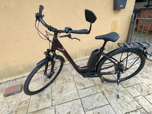 Žensko mestno / treking električno kolo BERGAMONT E-HORIZON