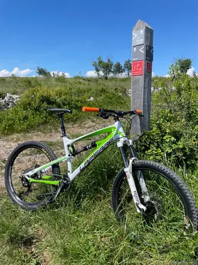 Lapierre zesty