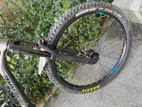 Lapierre Zesty AM 5.0