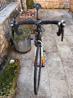 Karbonsko kolo Trek domane 4