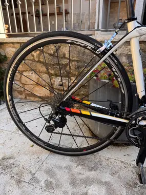 Karbonsko kolo Trek domane 4