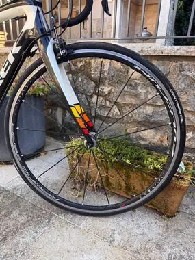 Karbonsko kolo Trek domane 4