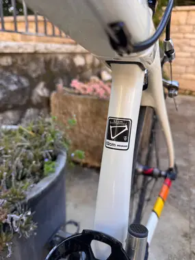 Karbonsko kolo Trek domane 4