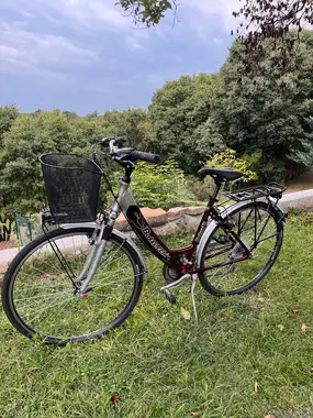 Žensko mestno kolo Bottechia