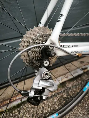 Žensko cestno kolo Focus Cayo