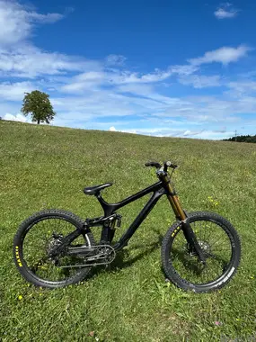 Rockymountain maiden