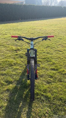 Specialized Status 160