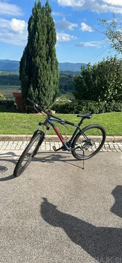 Specialized Rockhopper