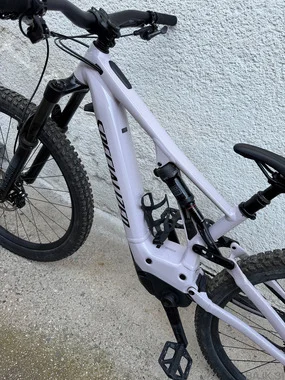 Specialized Turbo Levo 29er - Clay/black