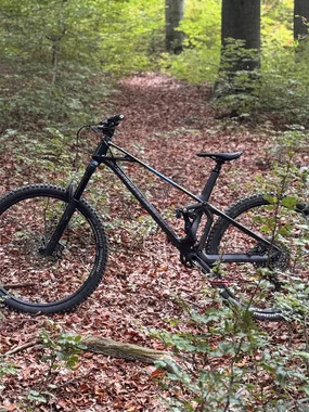 Mondraker superfoxy carbon r