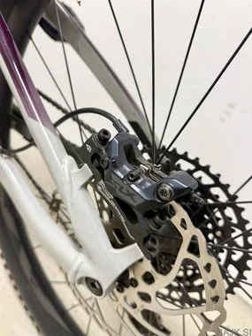 Prodam GIANT REIGN SX 29 v odličnem stanju! - KOT NOVO!