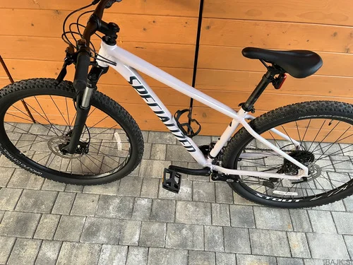 Specialized rockhopper  29
