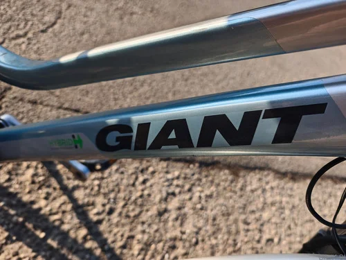 Giant Twist Hybrid