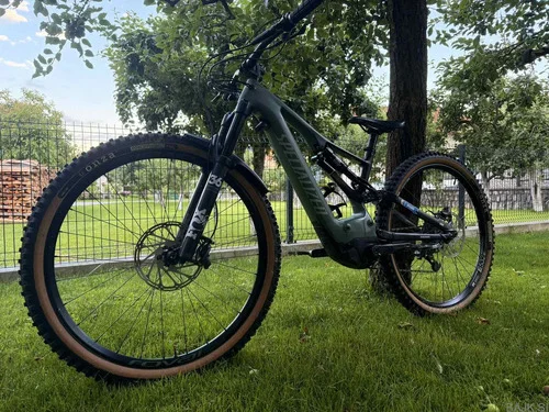 Turbo Levo Expert 29" 2020