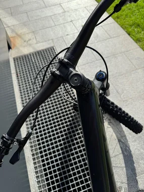 TREK Remedy