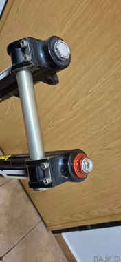 Bos Idylle FCV 37