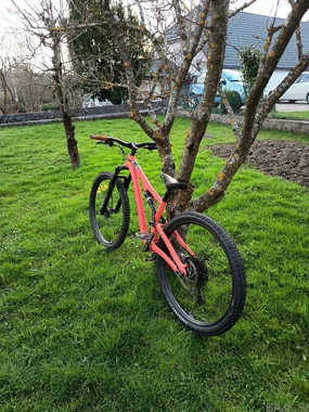 Specialized stump jumper 2021