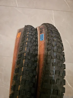 Schwalbe Wicked Will