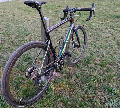 Specialized Tarmac SL6 expert disc