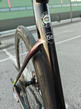 Specialized Tarmac SL6 expert disc