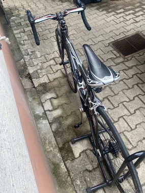 Ridley Excalibur (S)