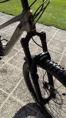 Scott Genius 950 (L)