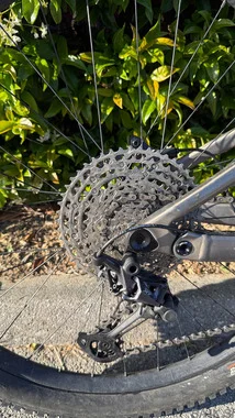Scott Genius 950 (L)