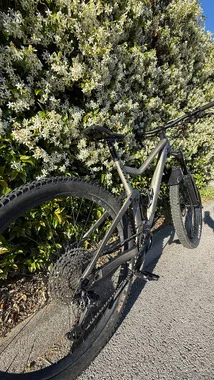 Scott Genius 950 (L)