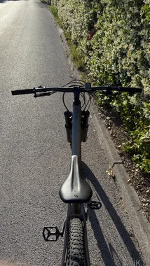 Scott Genius 950 (L)