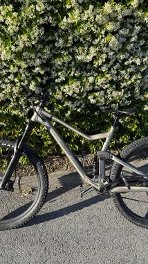 Scott Genius 950 (L)