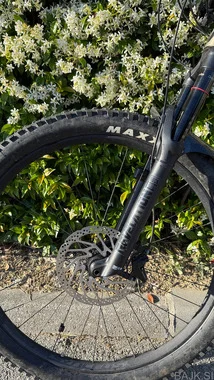 Scott Genius 950 (L)