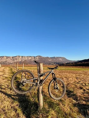 Stumpjumper 15 Comp Alloy 2025