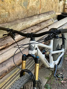 Canyon Spectral 125 CF9