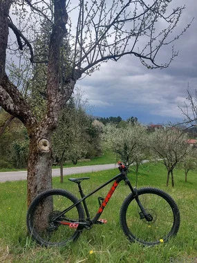 Trek roscoe 8