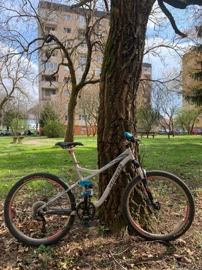 Žensko kolo Specialized