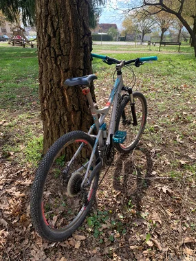 Žensko kolo Specialized