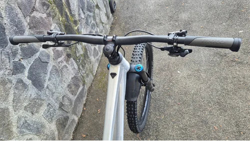 Liteville 303 MK1 Pro Mullet L