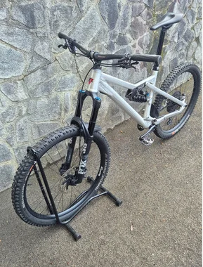 Liteville 303 MK1 Pro Mullet L