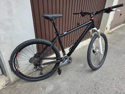 Radon ZR Team Custom